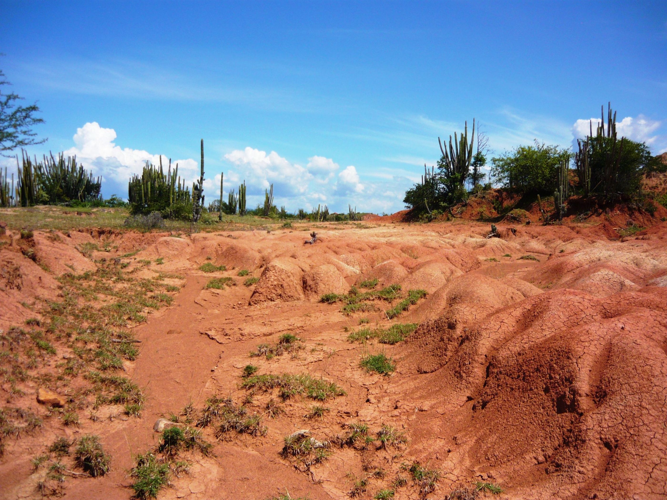 Neiva La Tatacoa (2)